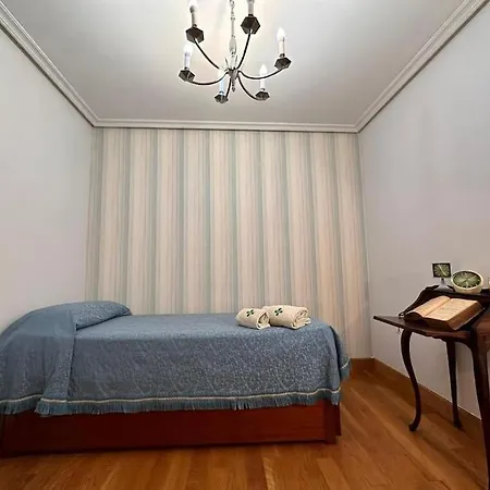 Aranzazu Vintage-apartamento Con Parking Gratuito San Sebastian
