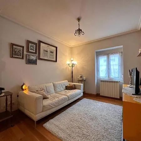 Aranzazu Vintage-apartamento Con Parking Gratuito San Sebastian