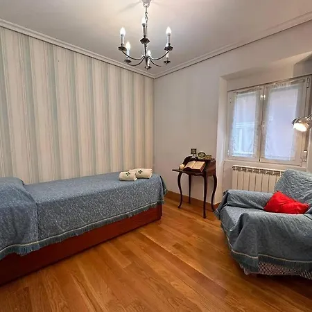 Aranzazu Vintage-apartamento Con Parking Gratuito 아파트 산세바스티안